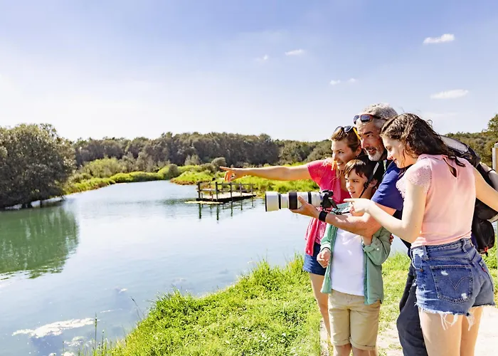 2 Avec Magnifique Terrasse Face Mer, Au Coeur Du Quartier Pittoresque De La Chaume - Fr-1-92-711 * Les Sables-dʼOlonne